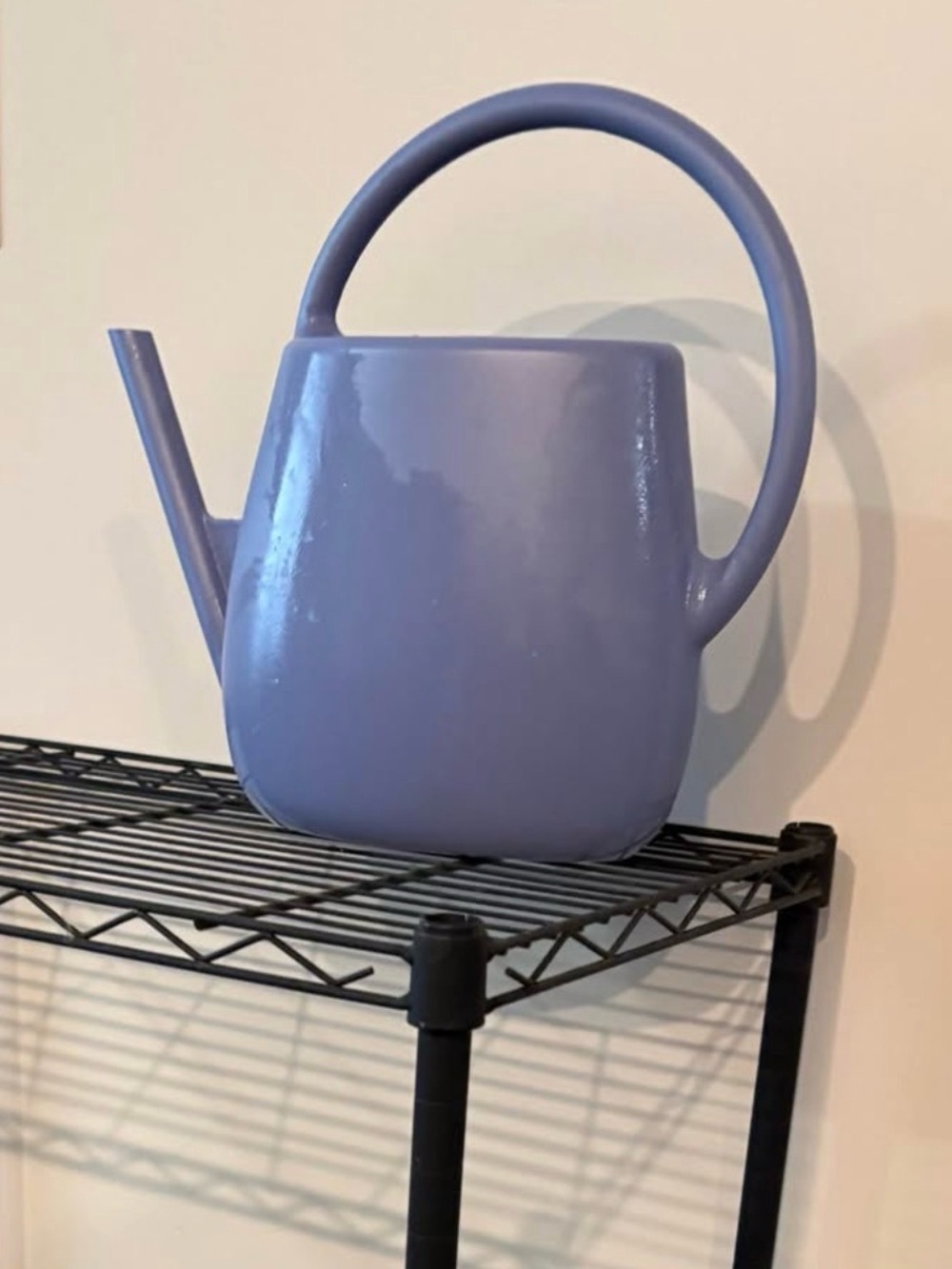 Modern Lavender Watering Can - 1qt